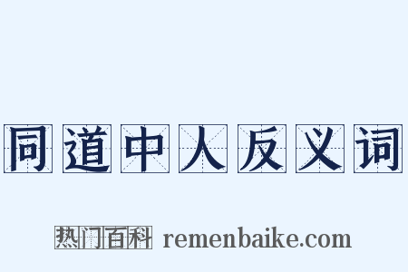 同道中人反义词是什么意思的图片